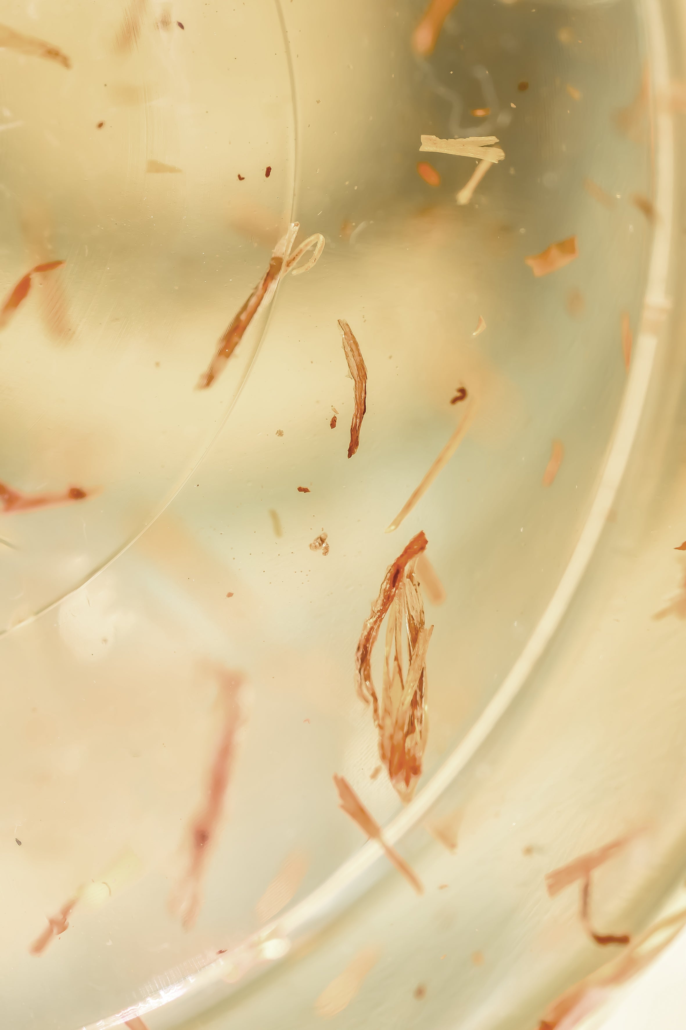 Cretan Crocus & Dittany Body Oil in details